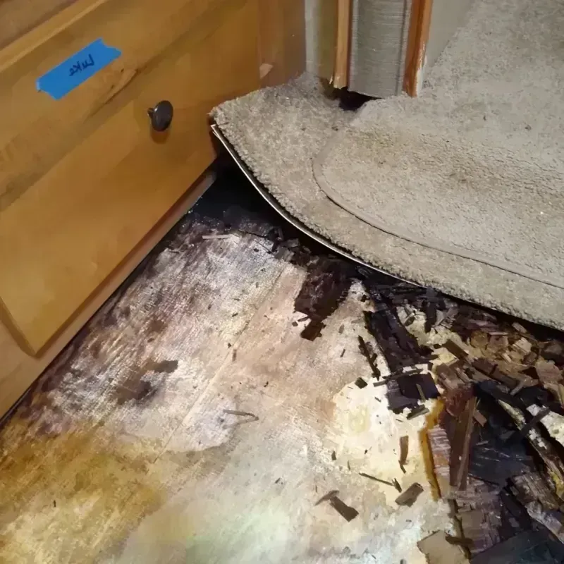 Wood Floor Water Damage in Pomona, NJ